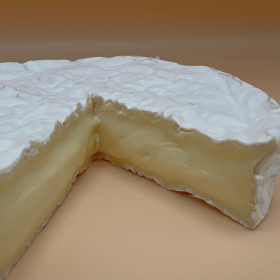 Camembert1